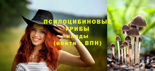 ALPHA-PVP Гусиноозёрск