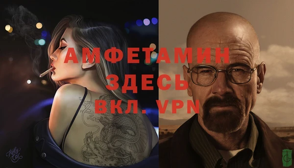 гашик Дмитровск