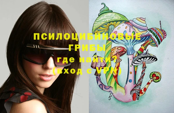 гашик Дмитровск